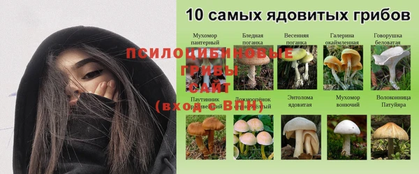 Альфа ПВП Нефтекумск