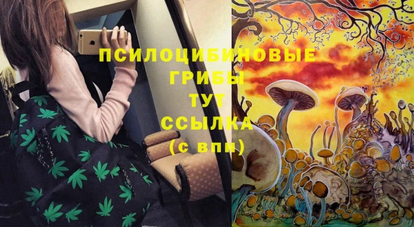 Альфа ПВП Нефтекумск